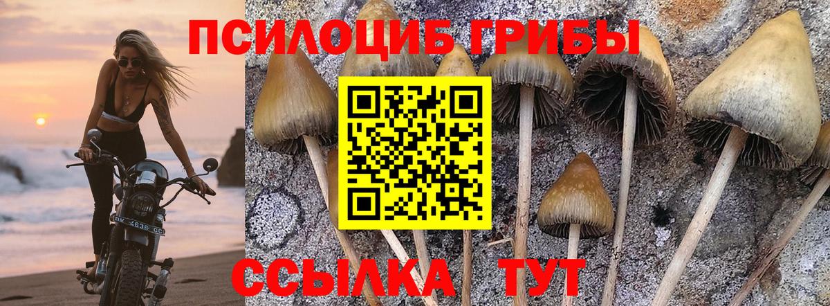 Галлюциногенные грибы Cubensis  Галлюциногенные грибы Magic Shrooms  Вход с VPN  Кубинка 